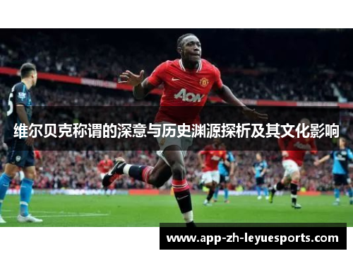 维尔贝克称谓的深意与历史渊源探析及其文化影响 维尔贝克称谓的深意与历史渊源探析及其文化影响