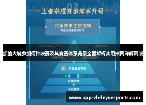 加的夫城参加何种联赛及其竞赛体系背景全面解析实用指南详解篇版