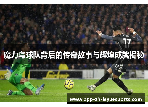 魔力鸟球队背后的传奇故事与辉煌成就揭秘