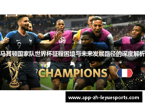 马其顿国家队世界杯征程困境与未来发展路径的深度解析